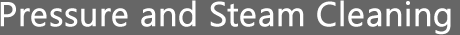 Pressure and Steam Cleaning